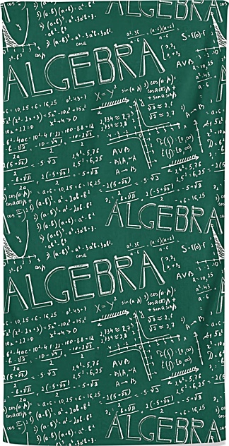Algebra Math Beach Towel