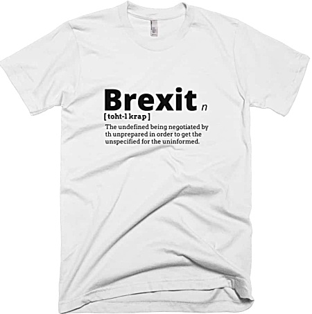 Rude Brexit T-shirt tshirt tee government political