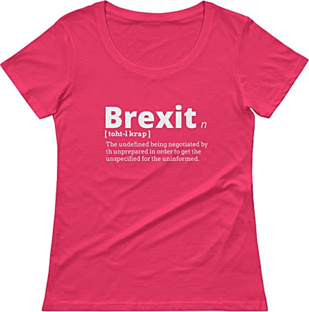 Rude Brexit T-shirt tshirt tee government political women girl girls